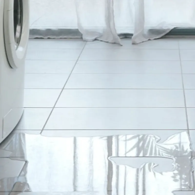 Appliance Leak Cleanup in Smyth County, VA