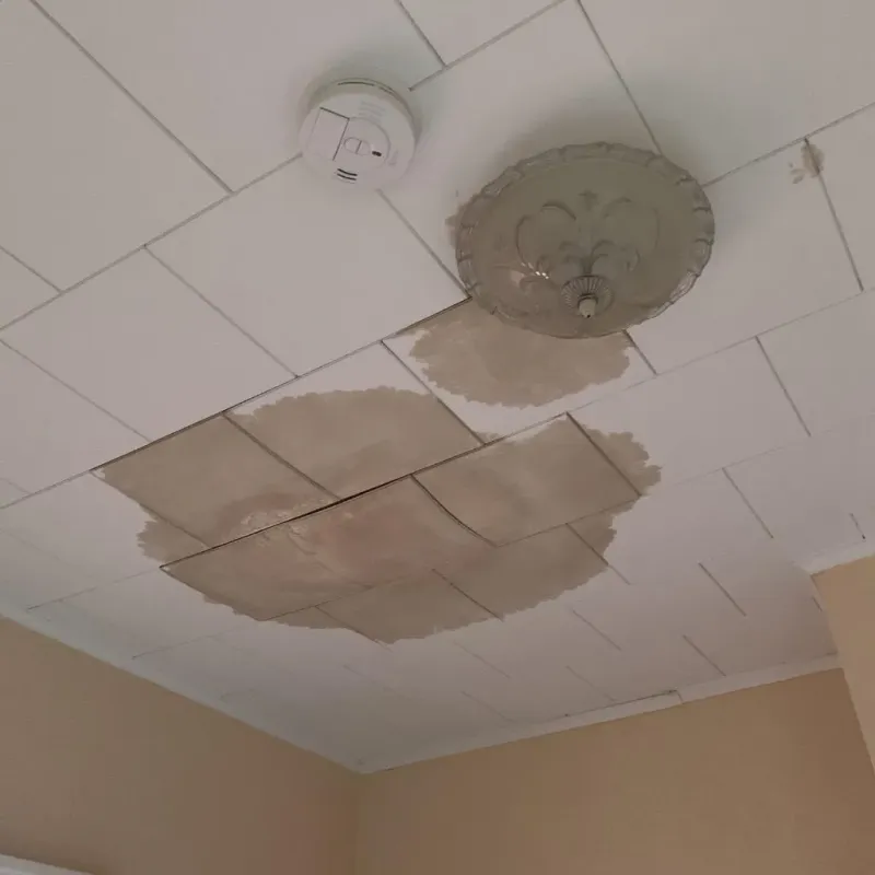 Ceiling Water Damage Repair in Smyth County, VA