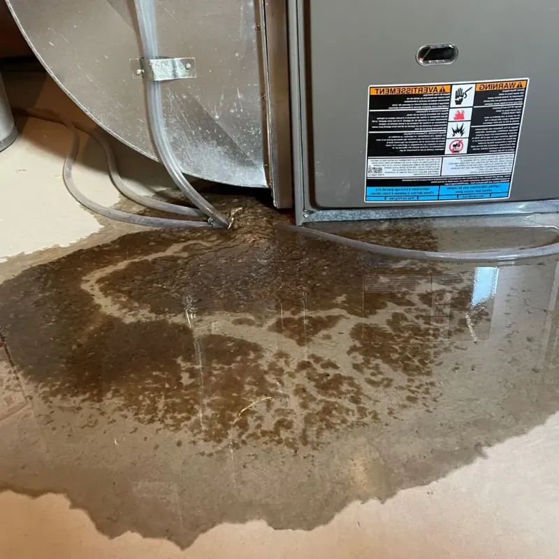 Pipe Burst and Leak Restoration in Smyth County, VA