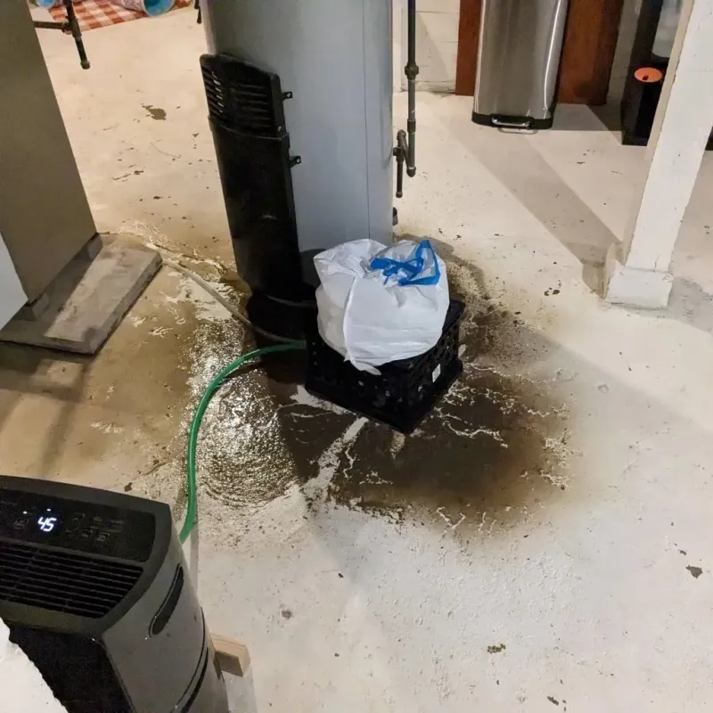 Sewage Backup Cleanup Service in Smyth County, VA